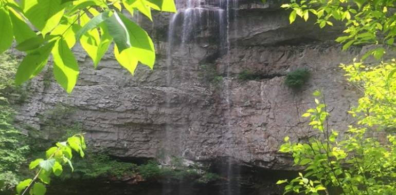 Do You Love the Outdoors? Come and enjoy Fall Creek Falls State Park in Spencer, TN