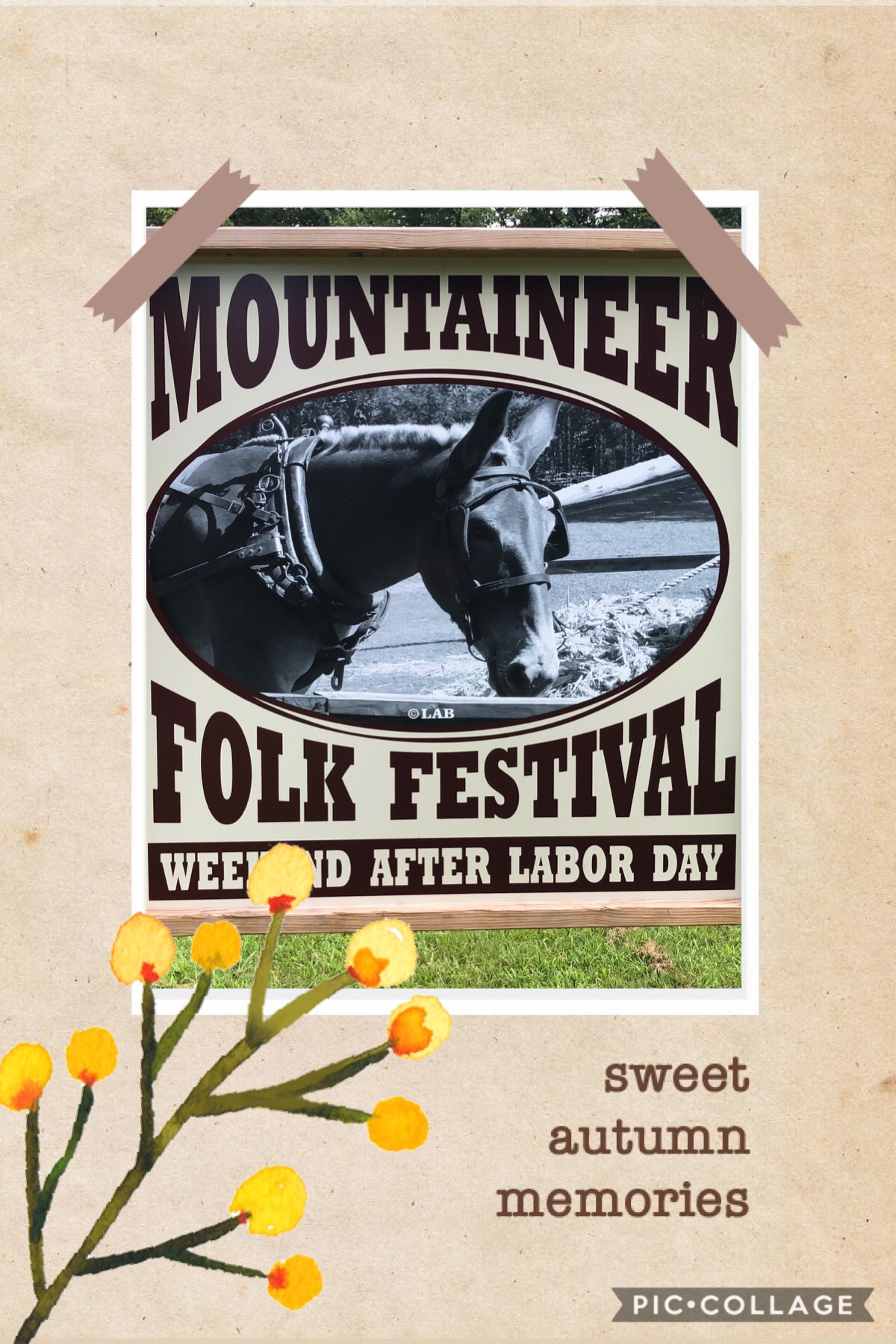 Mountaineer Folk FestivalSeptember 79, 2018 Fall Creek Falls State