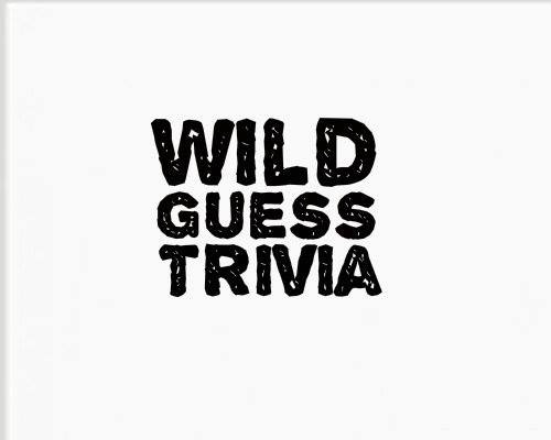 Wild Guess Trivia-Jig Head Brewing Company-March 28, 2019