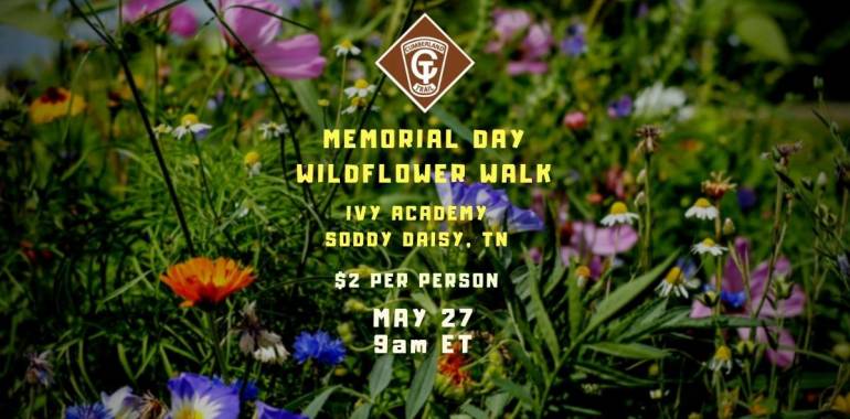 Memorial Day Wildflower Walk at Cumberland Trail-May 27, 2019