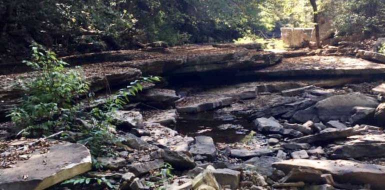 Rock-hop Hike at Fall Creek Falls State Park-March 7, 2020