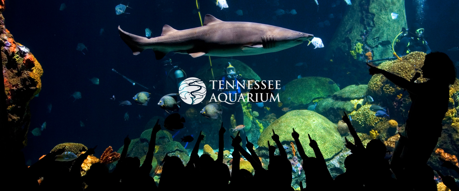 Great Day Trip-Tennessee Aquarium