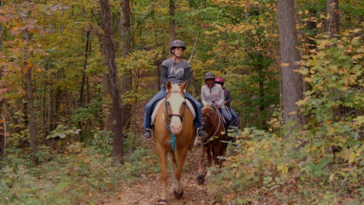 Want to be Adventurous?  This place has it all!