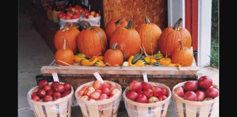 Opening Weekend at Baker Mountain Farm