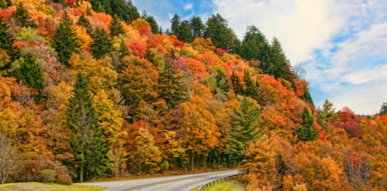 Fall is in the Air!