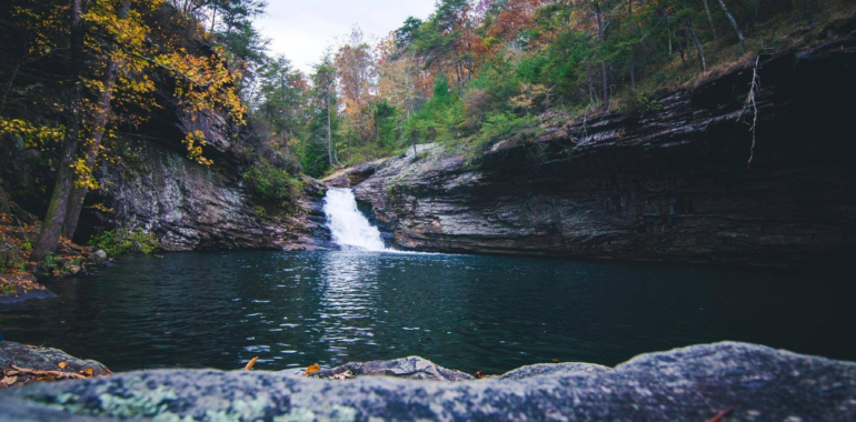 Lula Lake Land Trust-Simply Beautiful