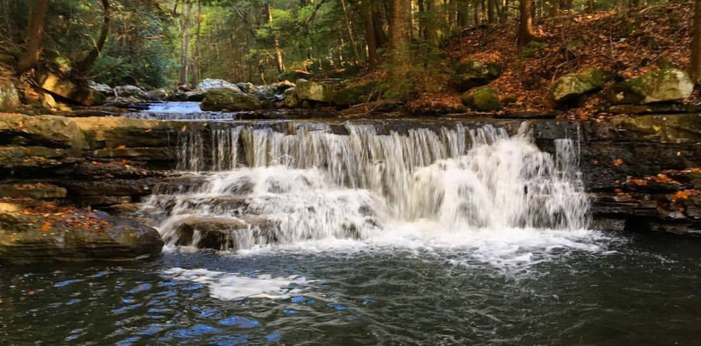 Breathtaking Views in Tennessee