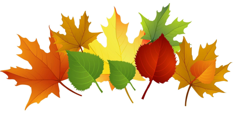 Autumn will be here soon bringing beautiful colors to Fall Creek Falls!
