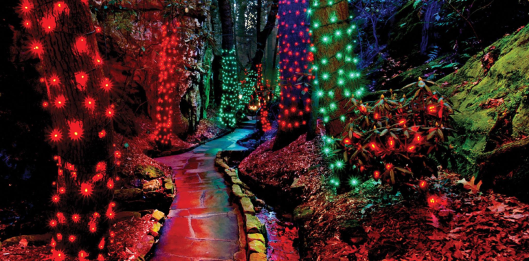 See Rock City! Enchanted Garden of Lights