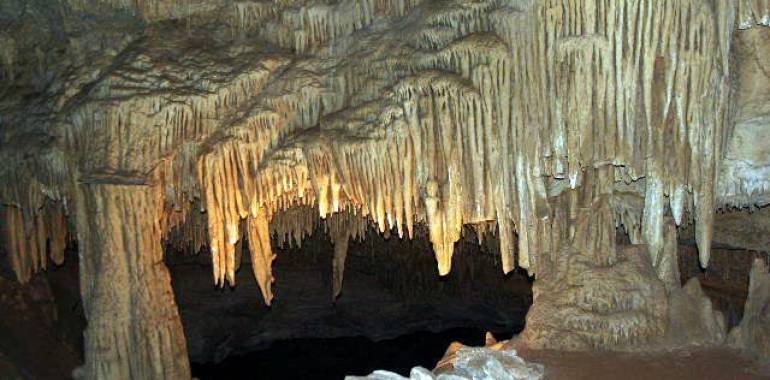 Cumberland Caverns-Awesome Adventure!