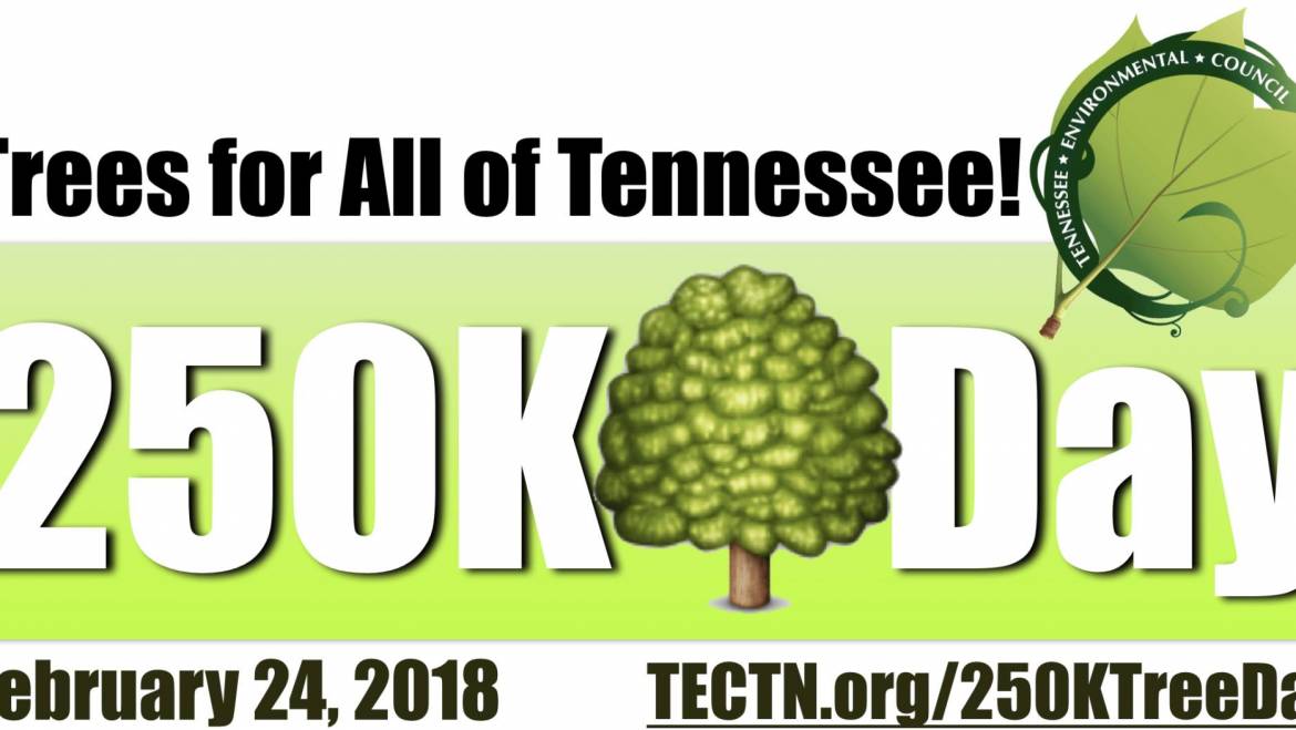 250K Tree Day at Cumberland Mountain Park