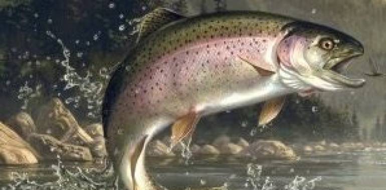 Trout Fishing is back at Fall Creek Falls State Park