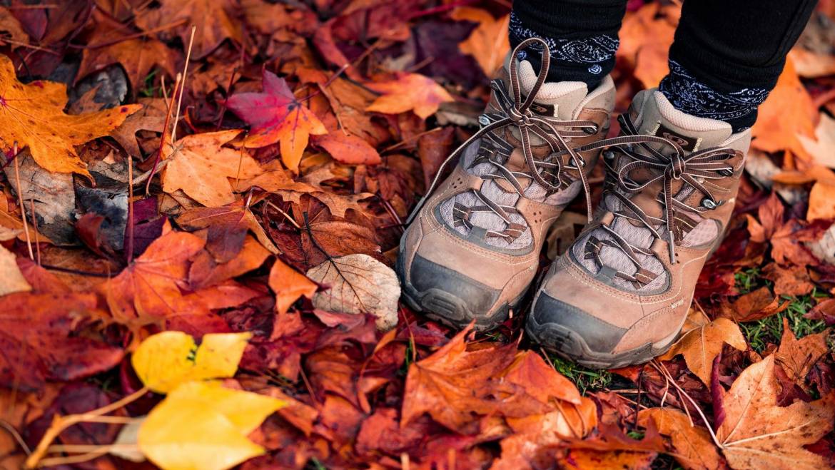 Black Firday Hike-November 23, 2018 Cumberland Mountain State Park