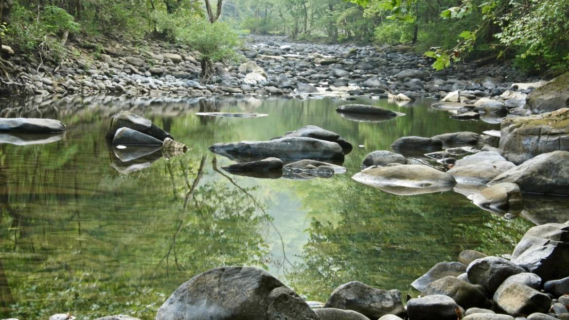 Scott’s Gulf Adventure Hike-August 10, 2019
