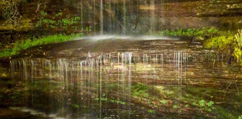 Crystal Falls Lantern Hike-Pickett State Park-August 29, 2019