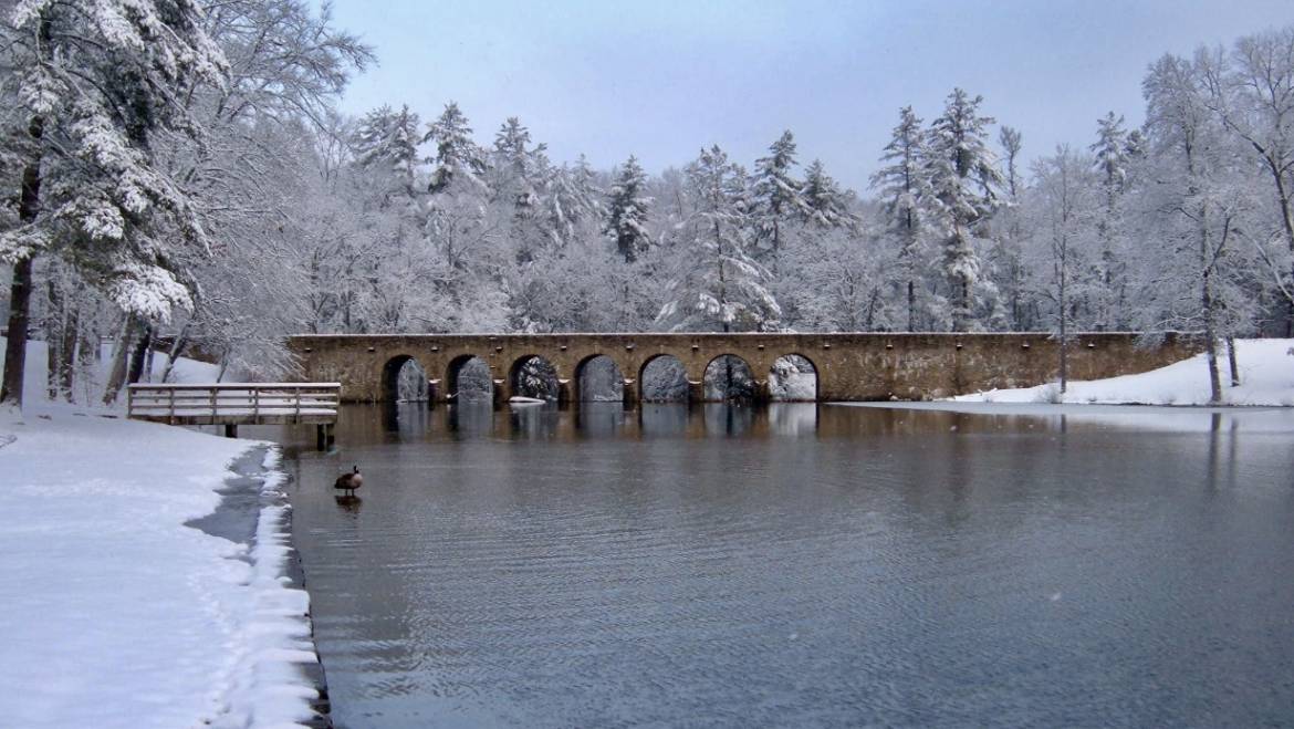 Guided Hike at Pioneer Trail Back Loop-Wednesday-February 12, 2020