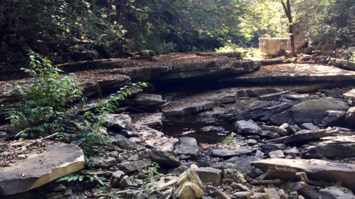 Rock-hop Hike at Fall Creek Falls State Park-March 7, 2020