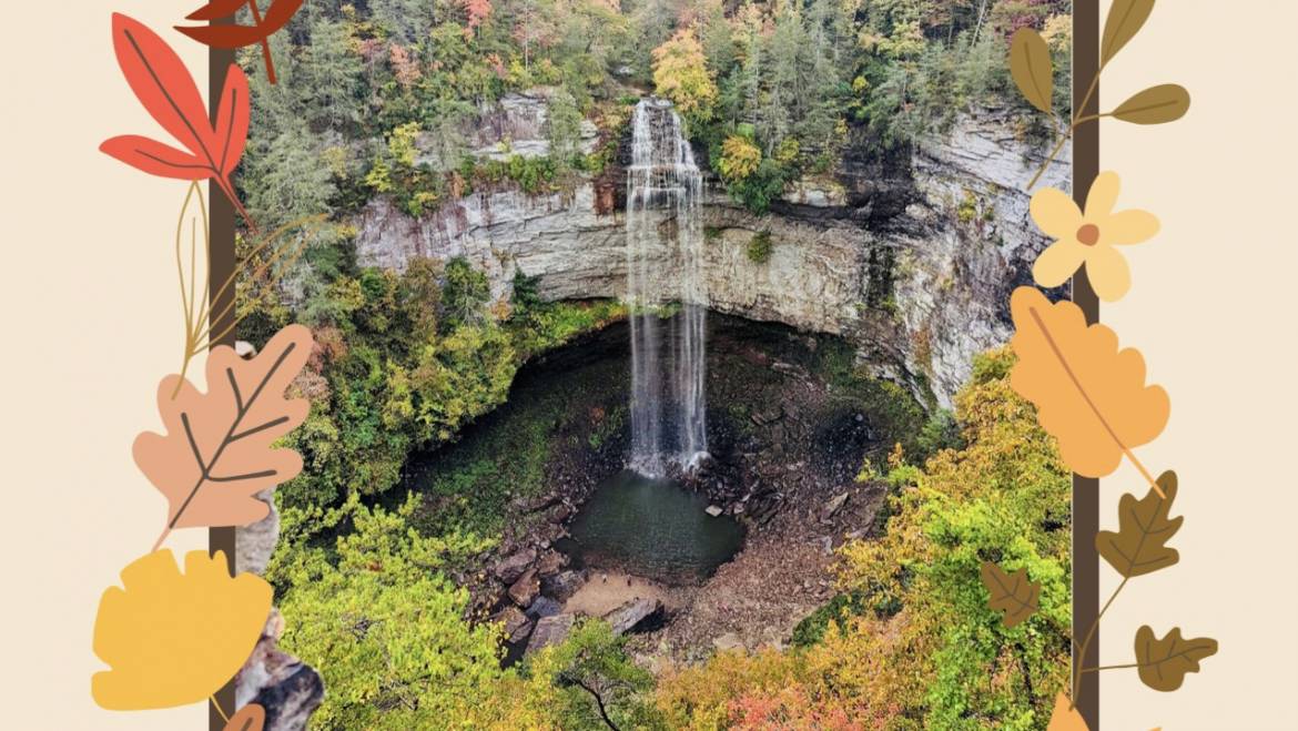 Fall Colors are showing out!  Book your getaway today to Fall Creek Falls🍂🍁🍂