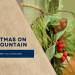 Do your Christmas shopping and enjoy Christmas on the Mountain!